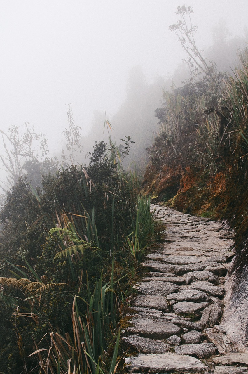 trail path mountains free photo