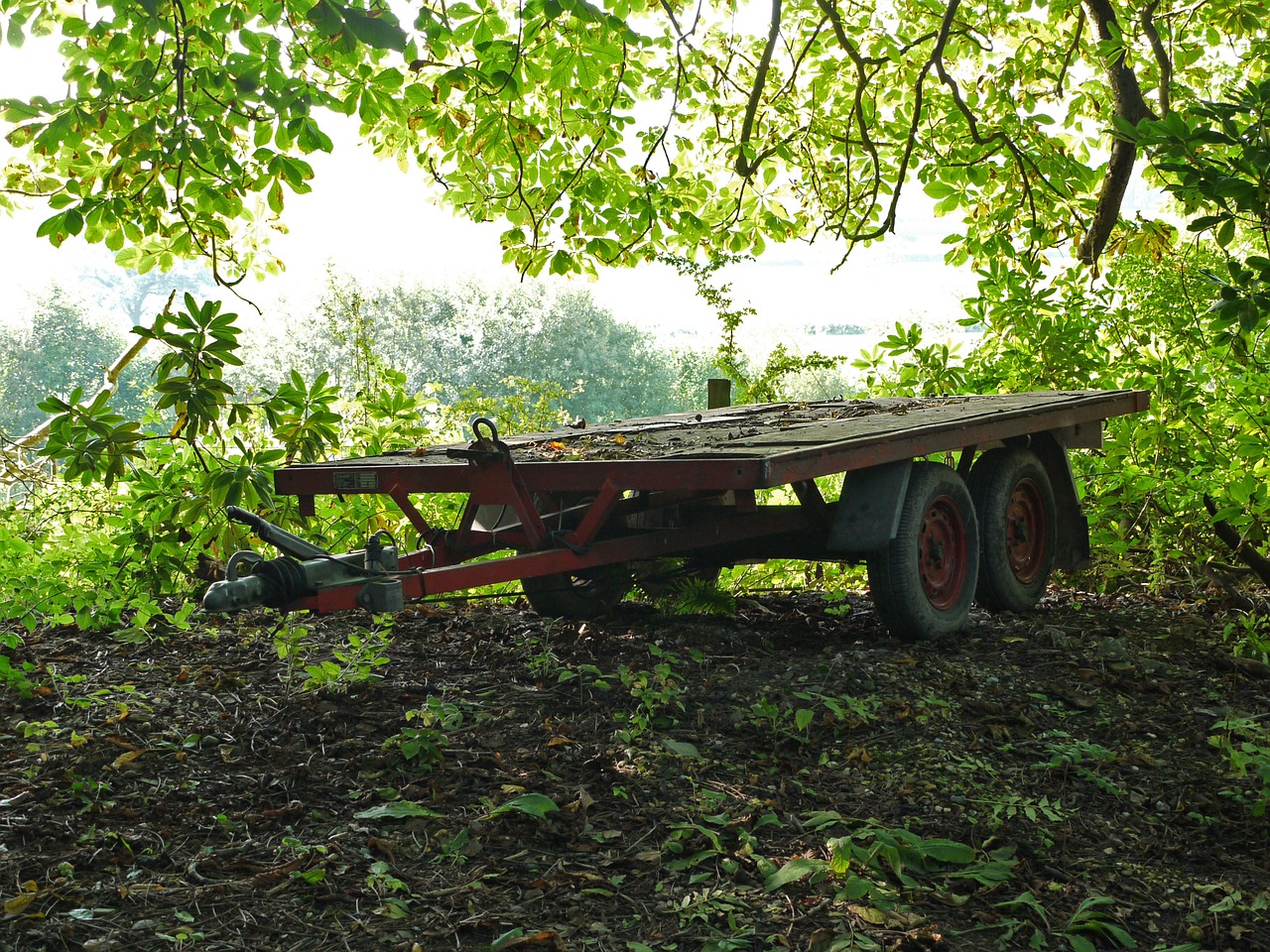 trailer wheels overhanging leaves free photo