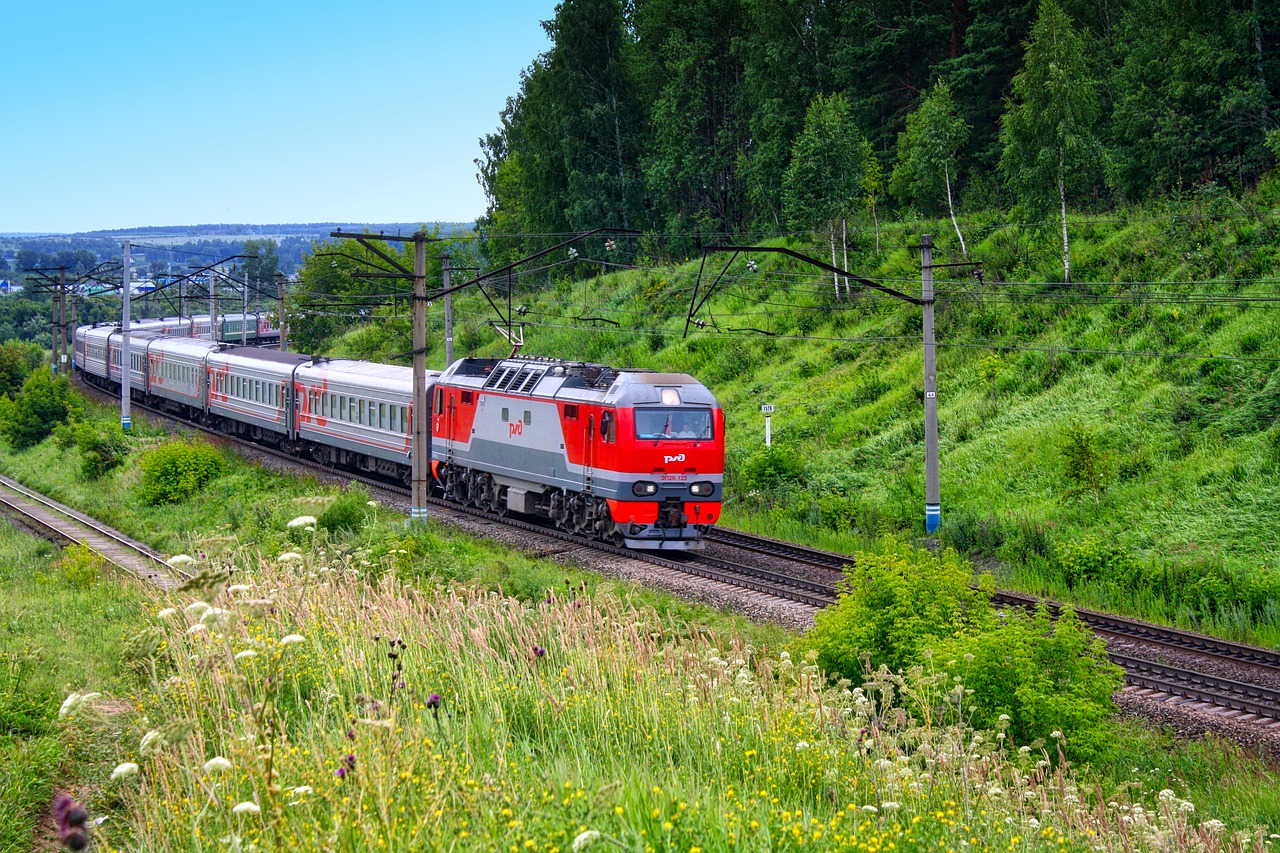 train railway trees free photo