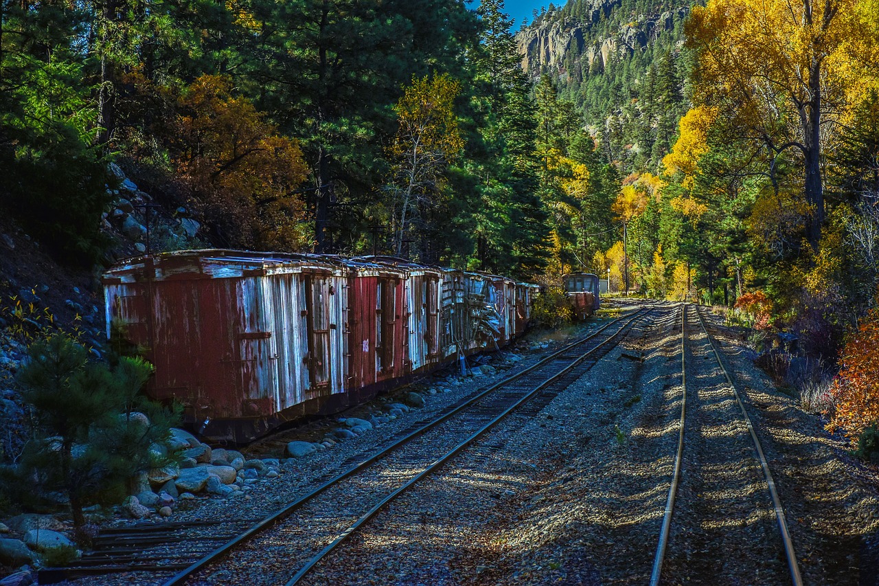 train railroad narrow guage free photo