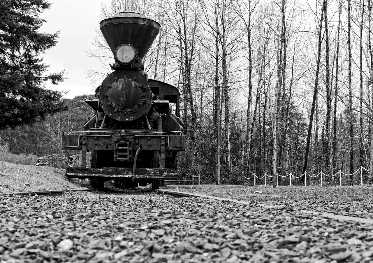 train tracks perspective free photo