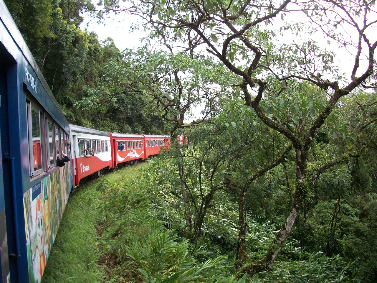 train landscape nature free photo