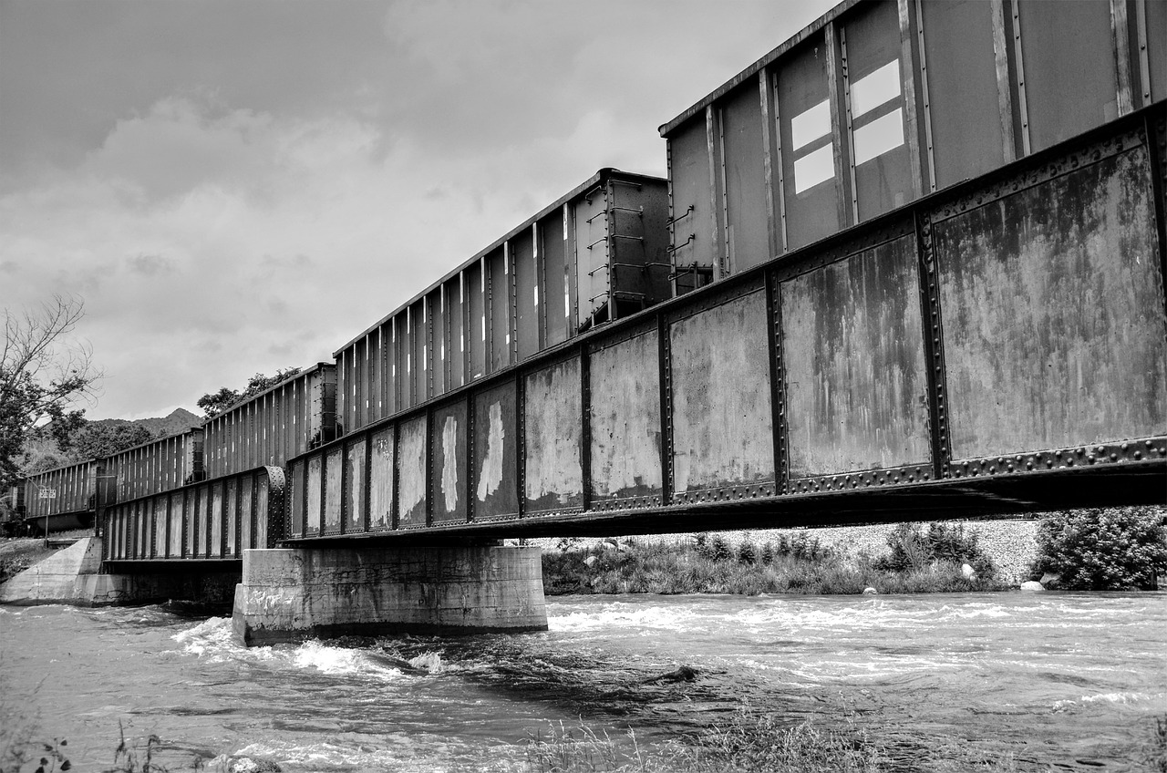 train bridge black and white free photo