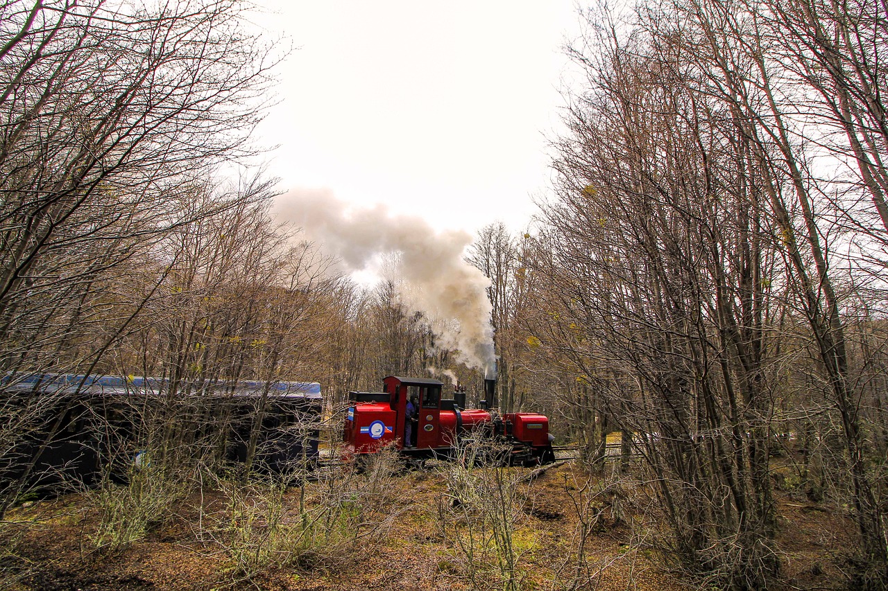 train forest trees free photo