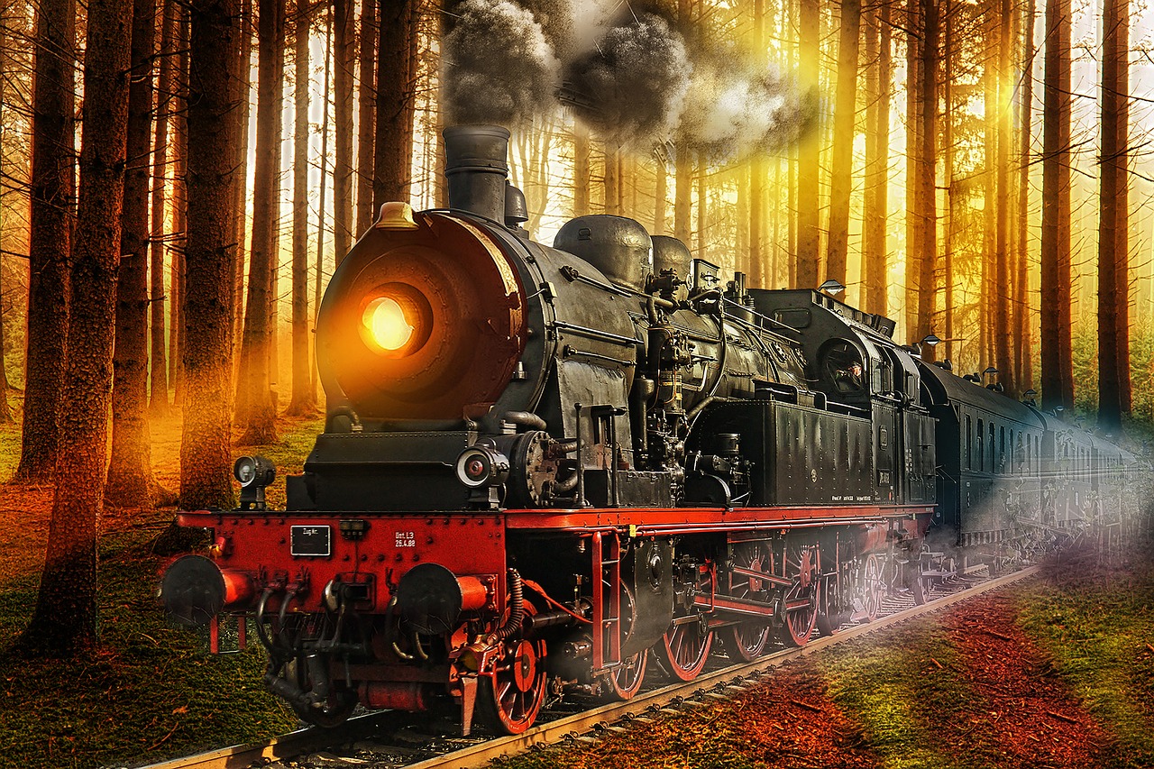 train  forest  nature free photo