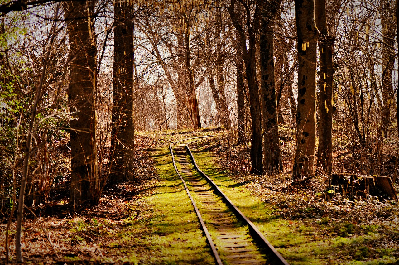 train  railroad  track free photo