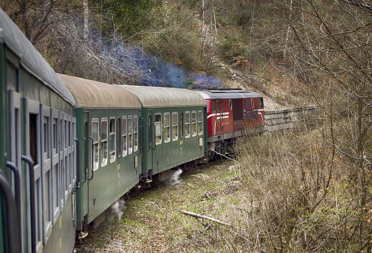 train  narrow gauge railway  diesel locomotive free photo