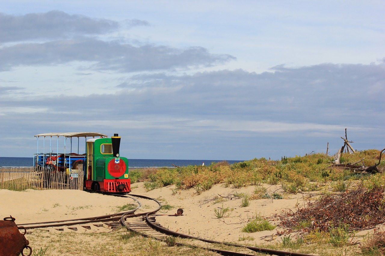 train beach nature free photo