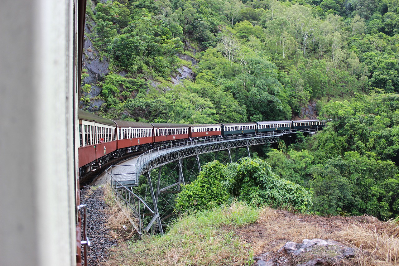 train jungle train mountain free photo