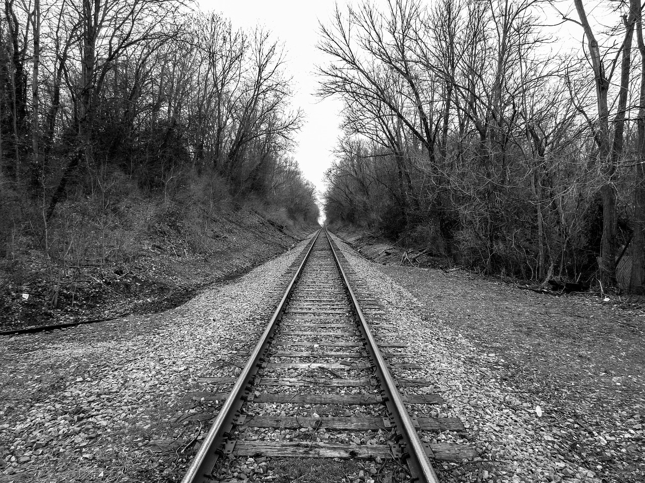 train tracks railroad free photo