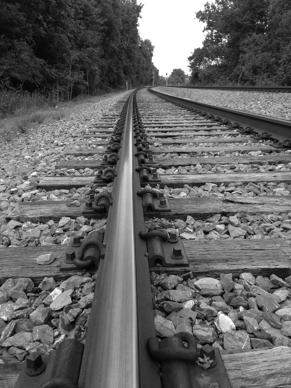 train tracks journey free photo