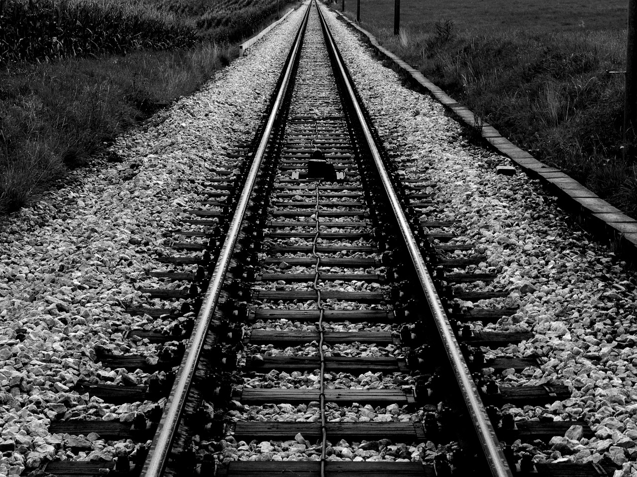 train tracks rails free photo