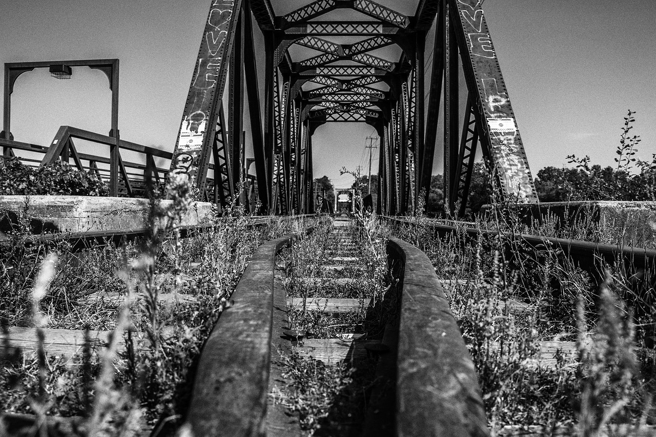train bridge black and white bridge free photo