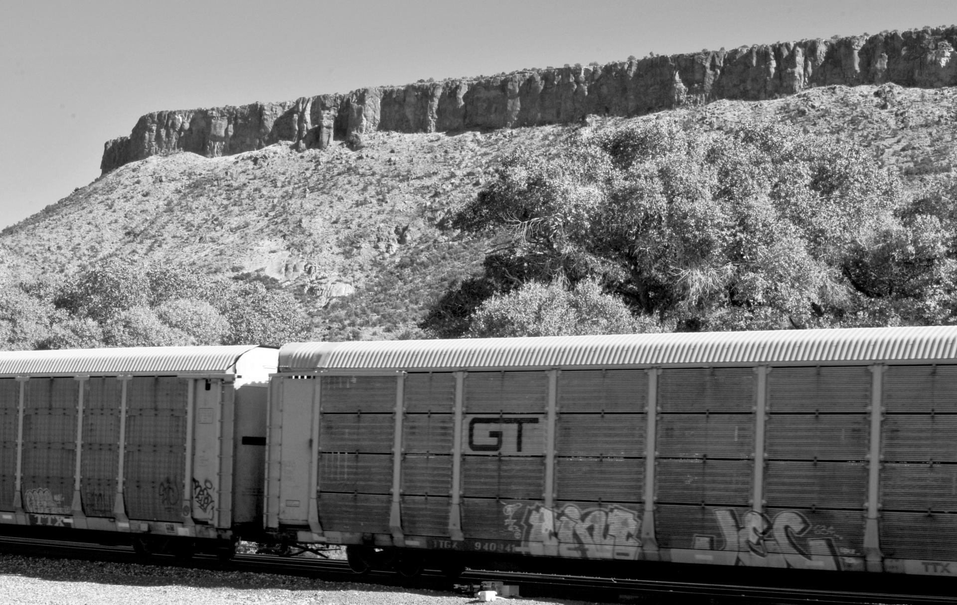 train train cars desert free photo