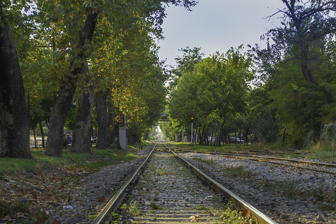 train path railway green free photo