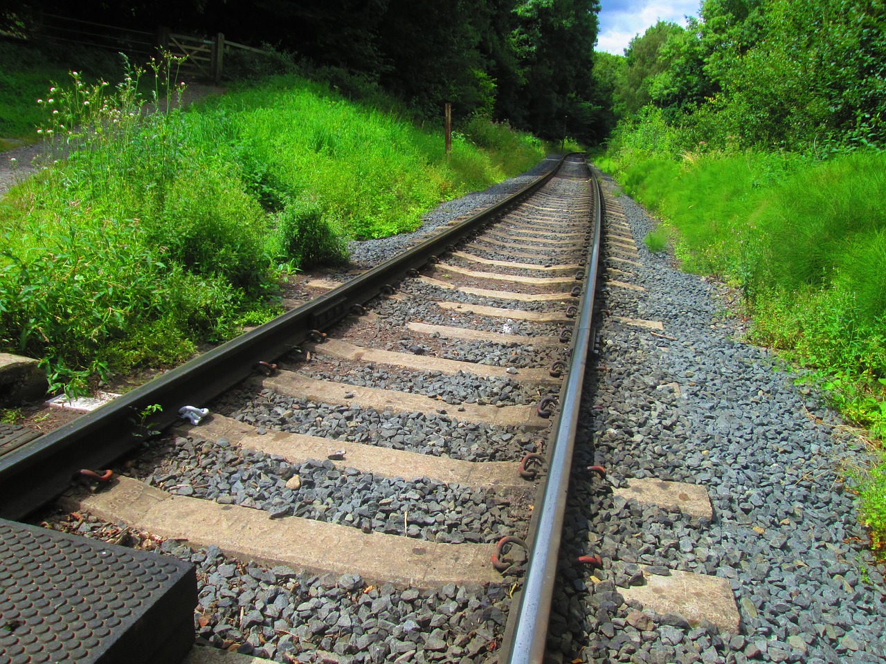 train track train railroad free photo