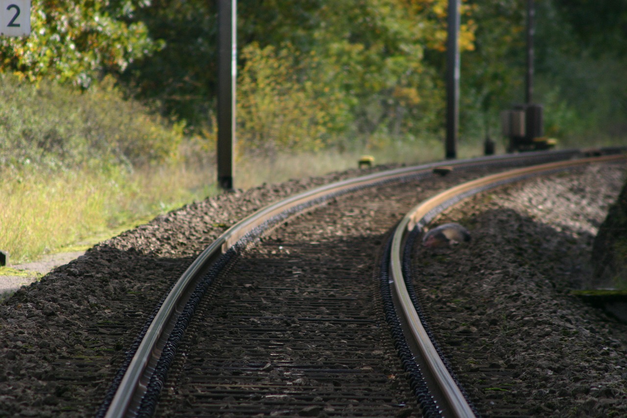 train track tracks railway free photo