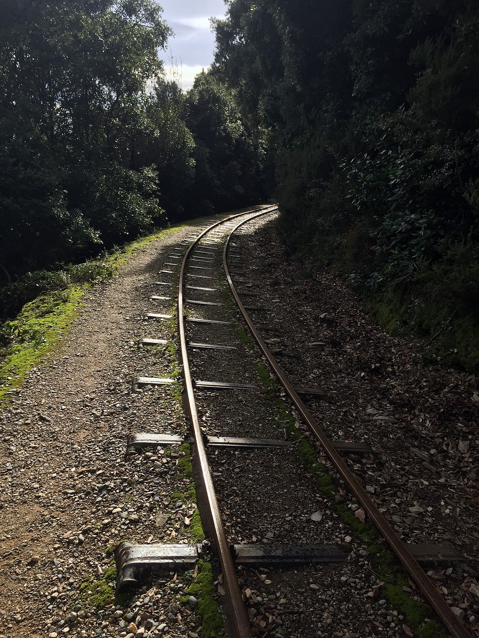 train tracks forest greece free photo