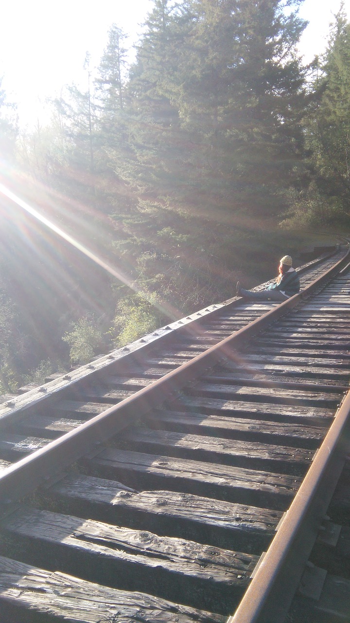 train tracks nature train free photo