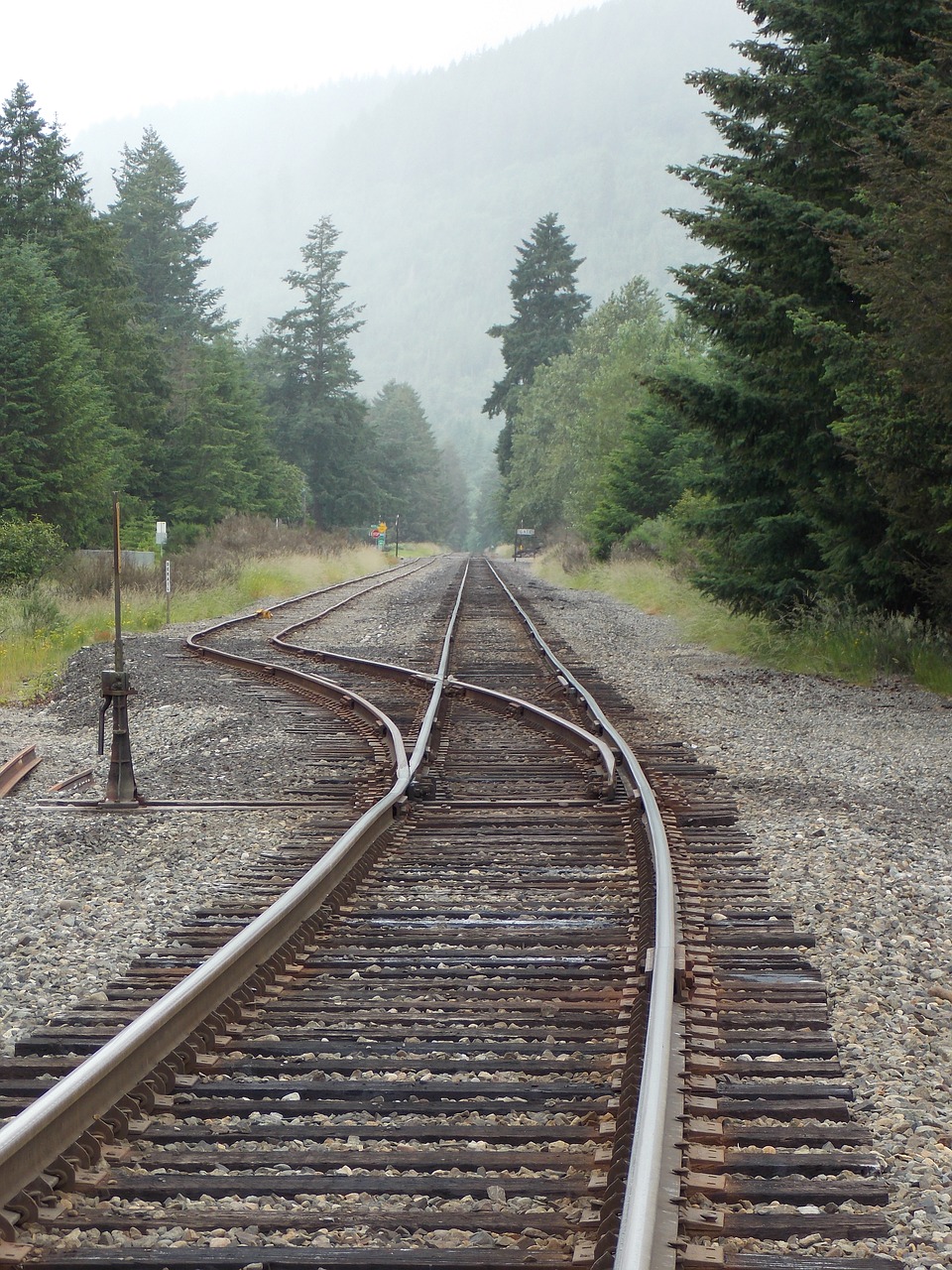 train tracks rails railroad free photo