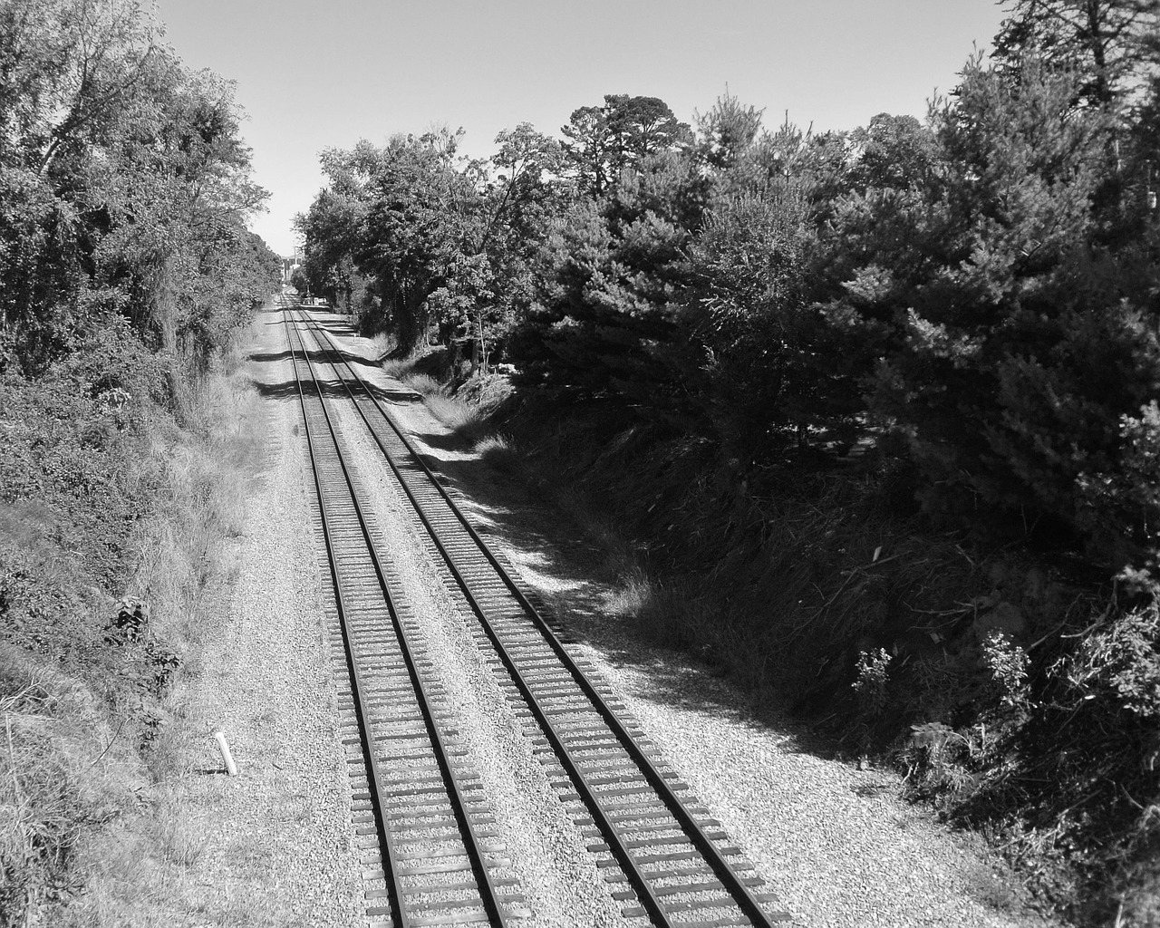 train tracks outdoors trees free photo