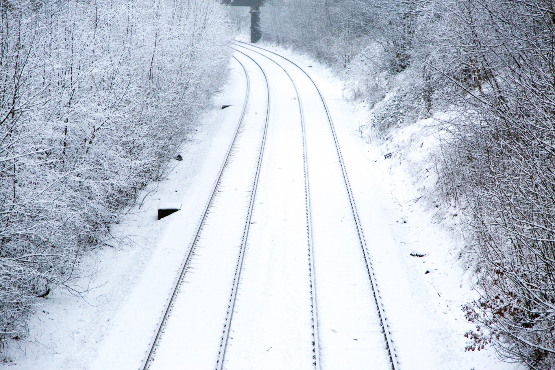 snow horizon rail free photo