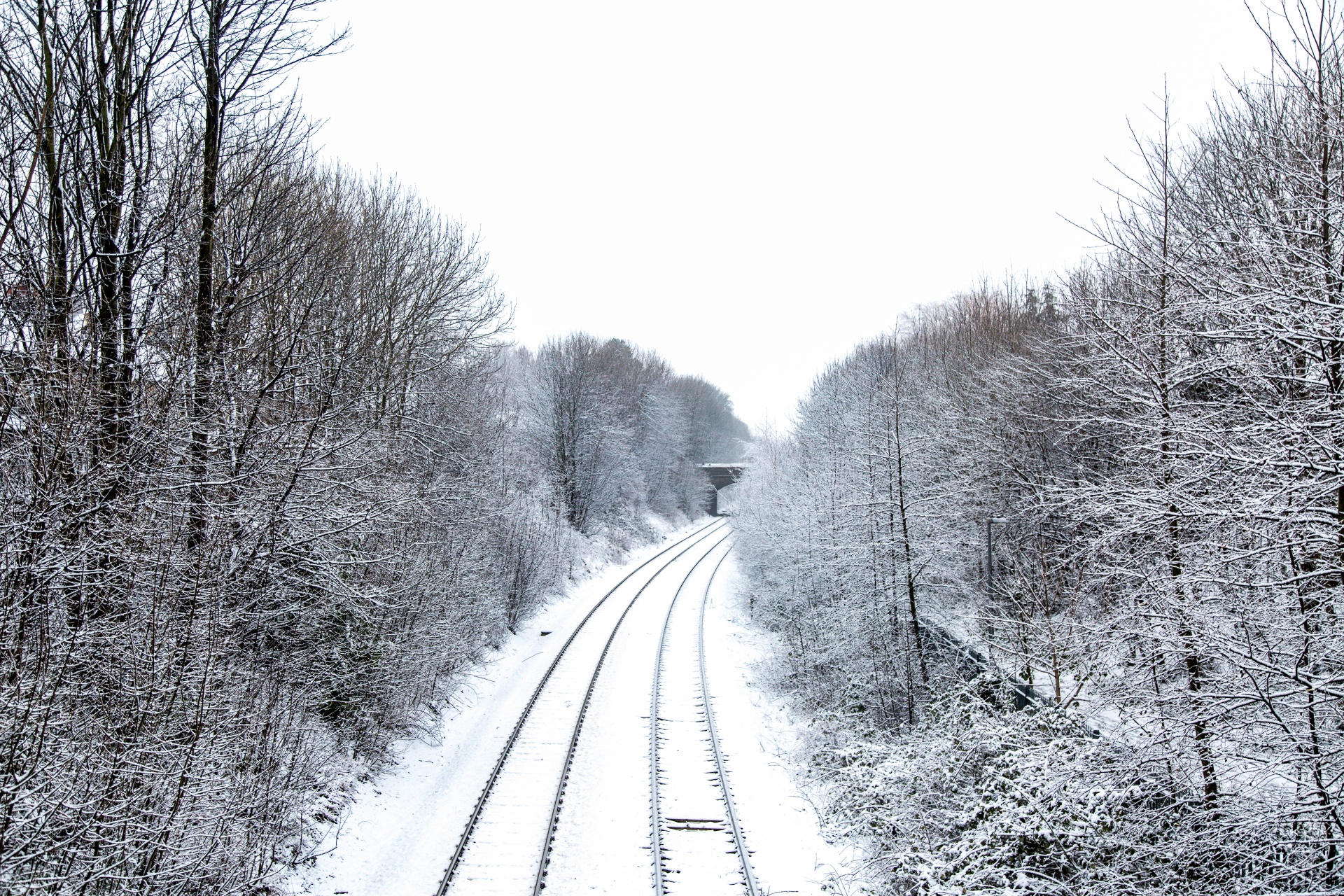 snow horizon rail free photo