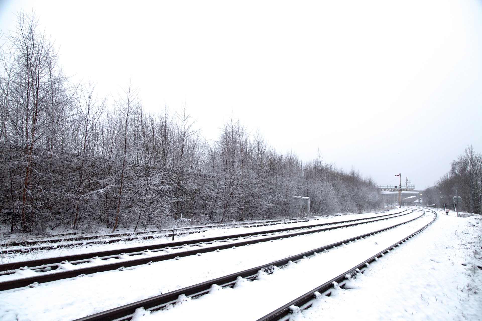 snow horizon rail free photo