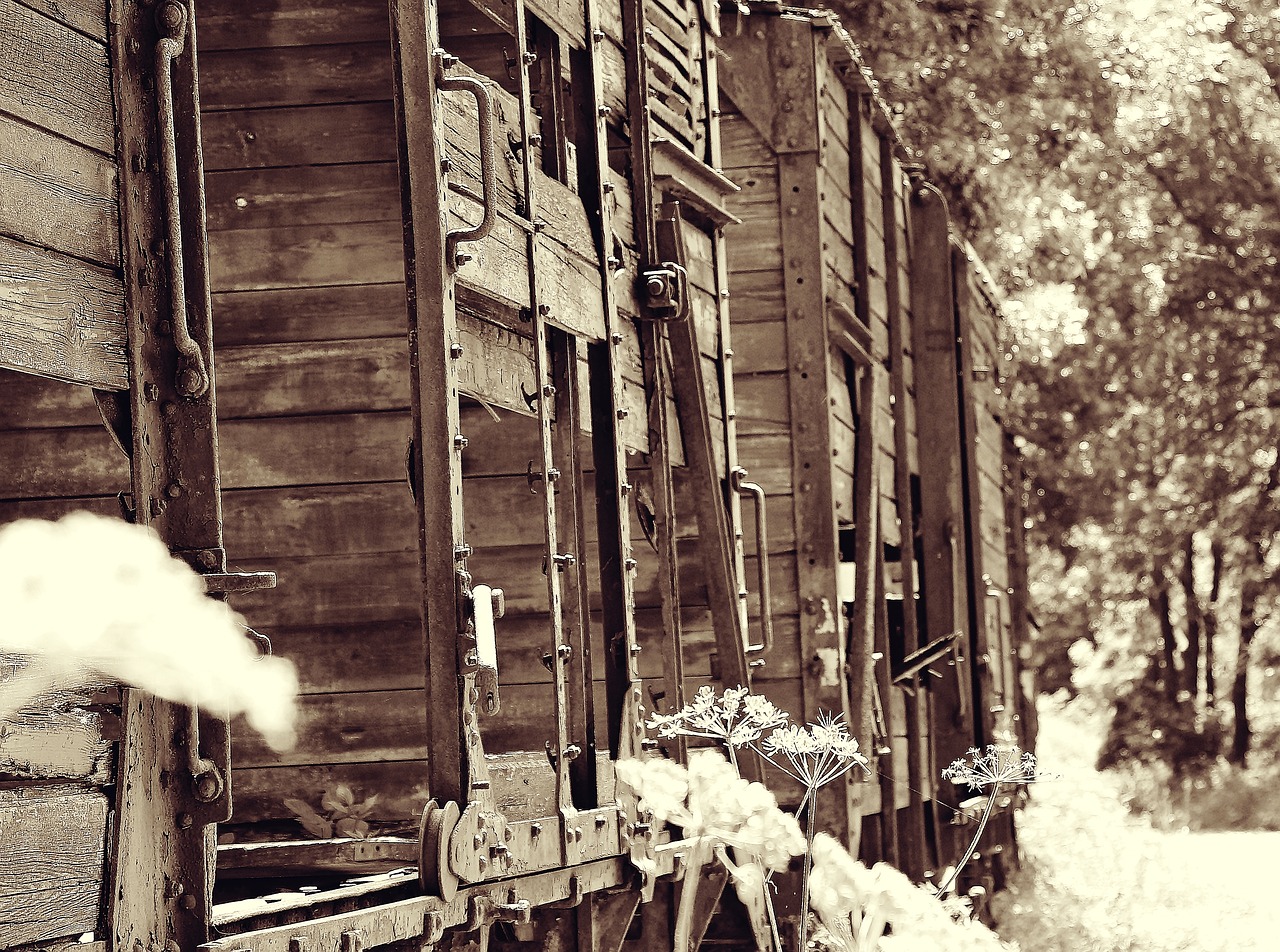 trains train cemetery zughalde free photo