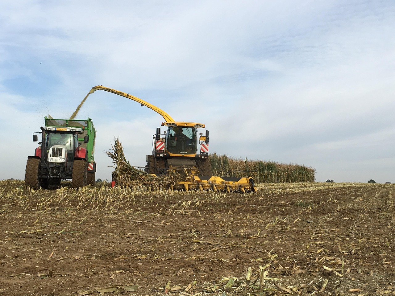 traktor harvest corn free photo