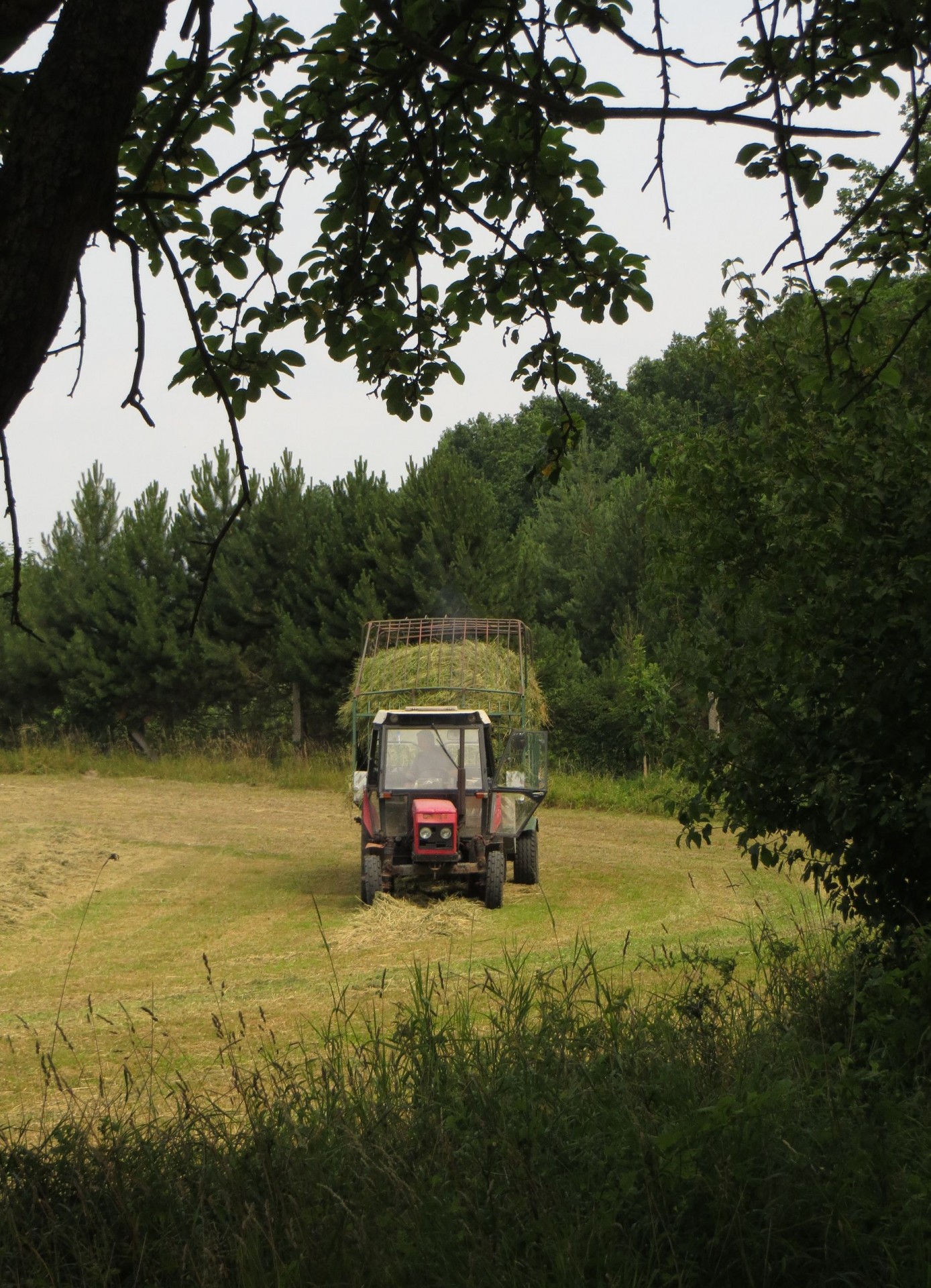 tractor hay field free photo