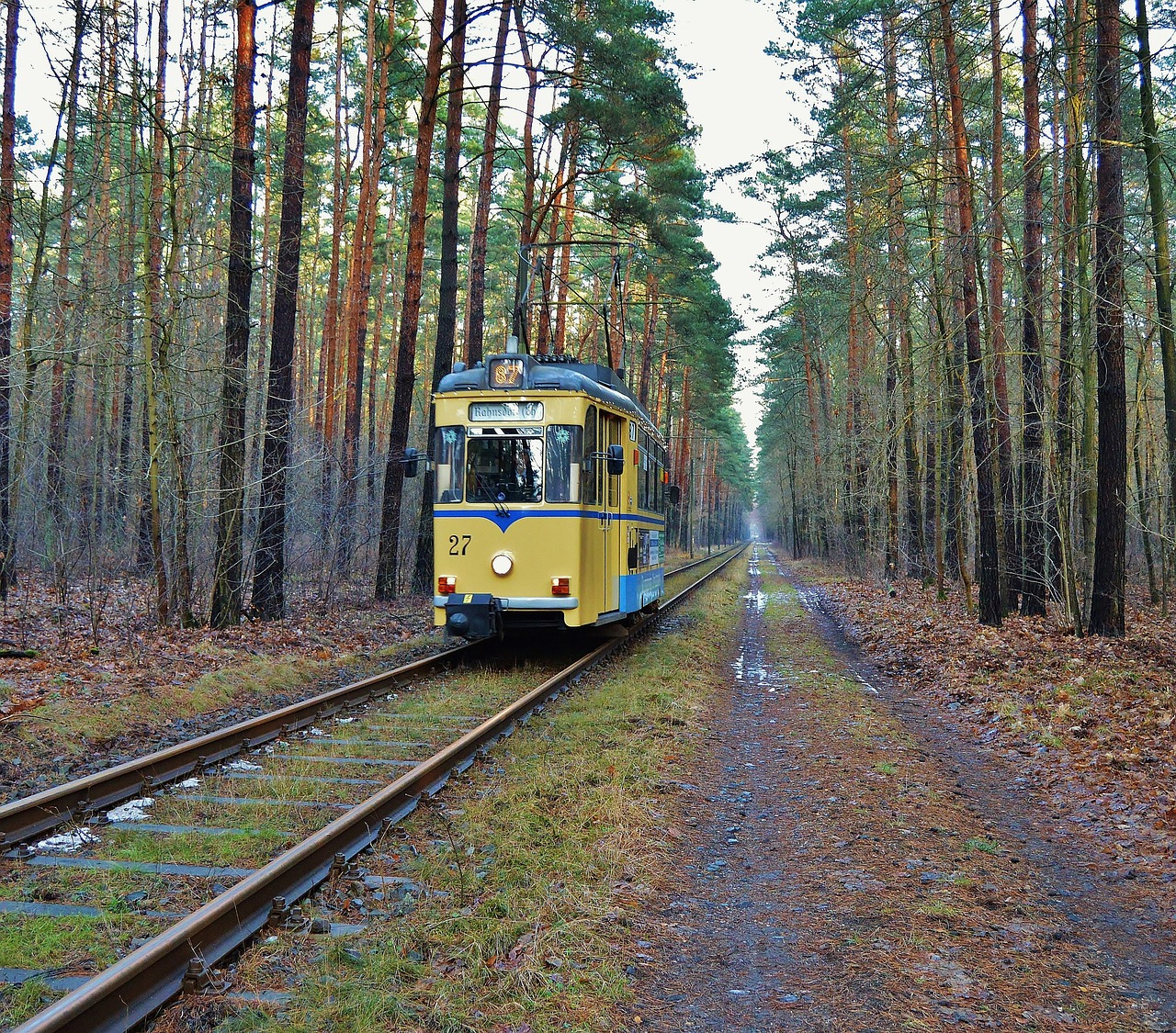 tram railcar forest track free photo