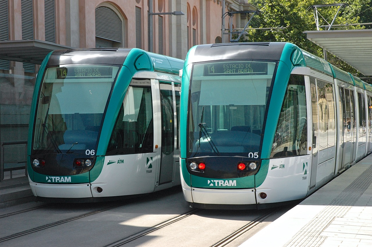 trams  city  transport free photo