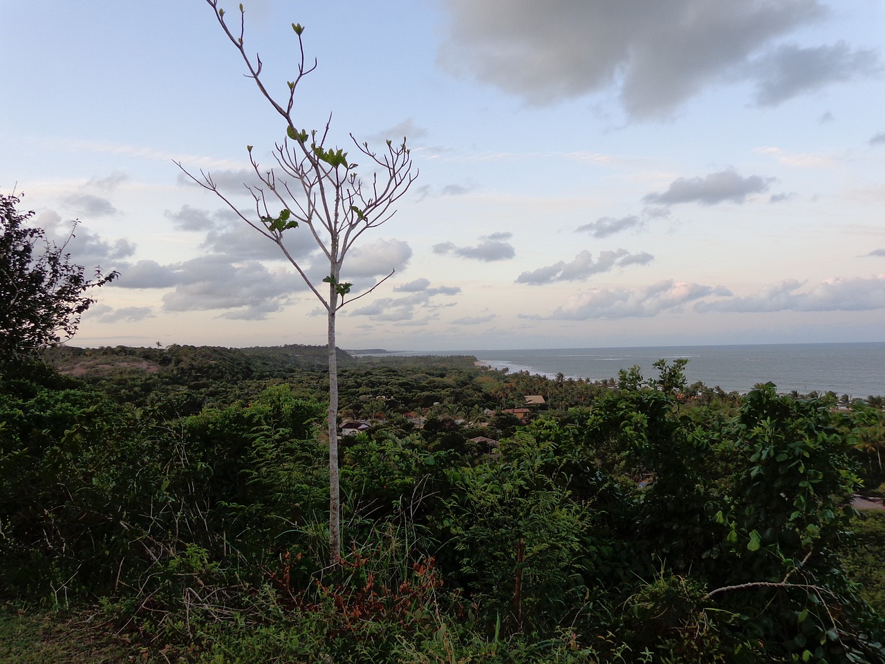 trancoso beach mar free photo