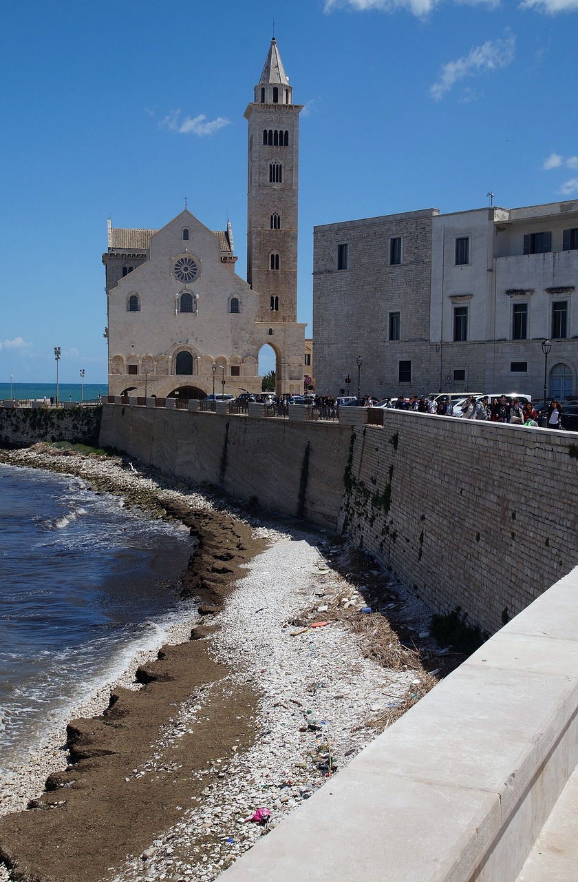 trani apulia italy free photo