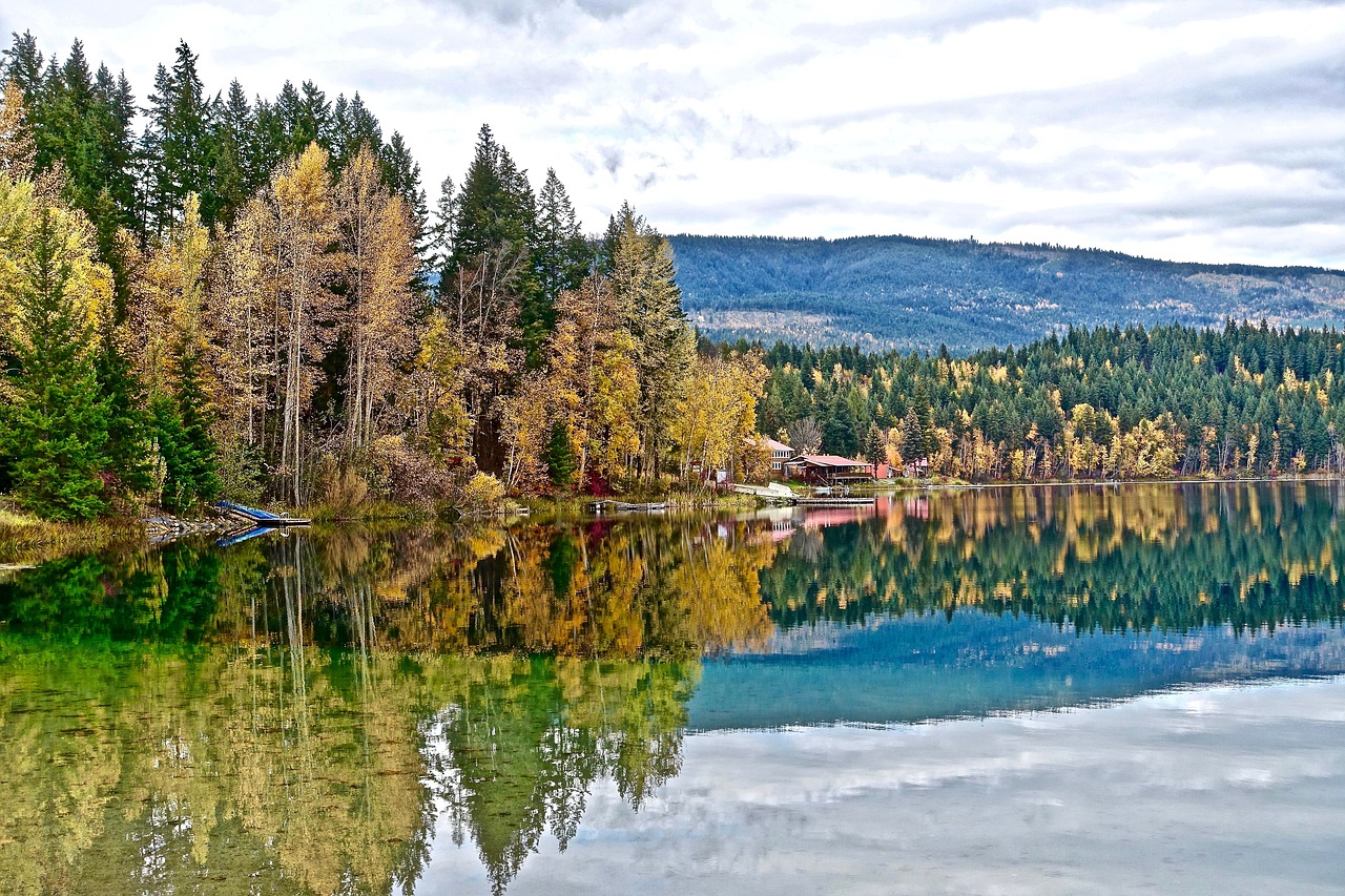 tranquil autumn reflection free photo