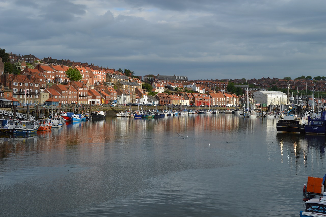 tranquil  harbour  boats free photo