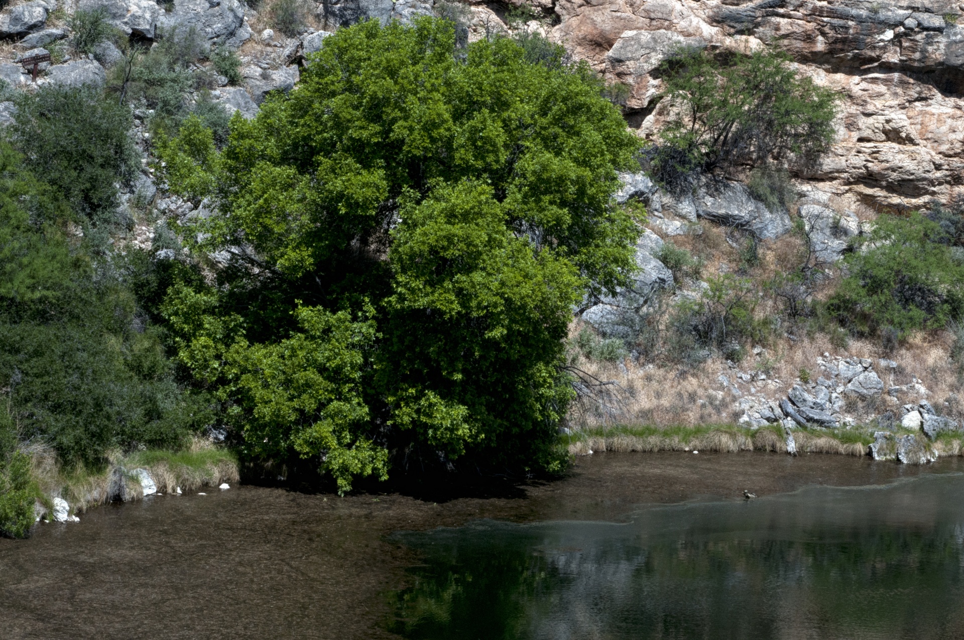 tranquil tranquility landscape free photo