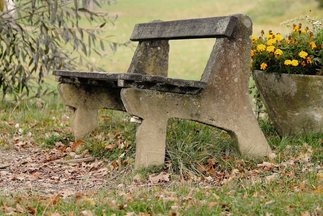 tranquility base wooden bench bank free photo
