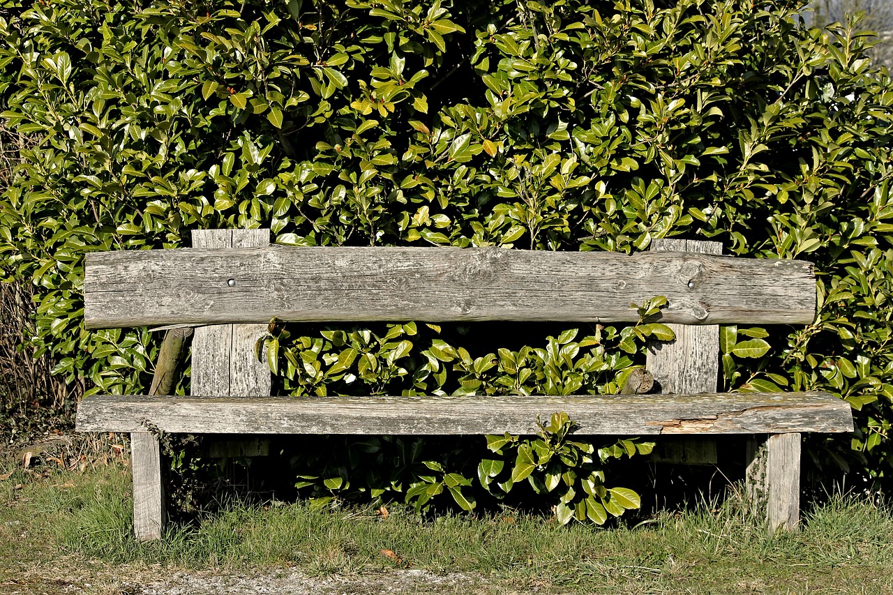 tranquility base wooden bench bank free photo