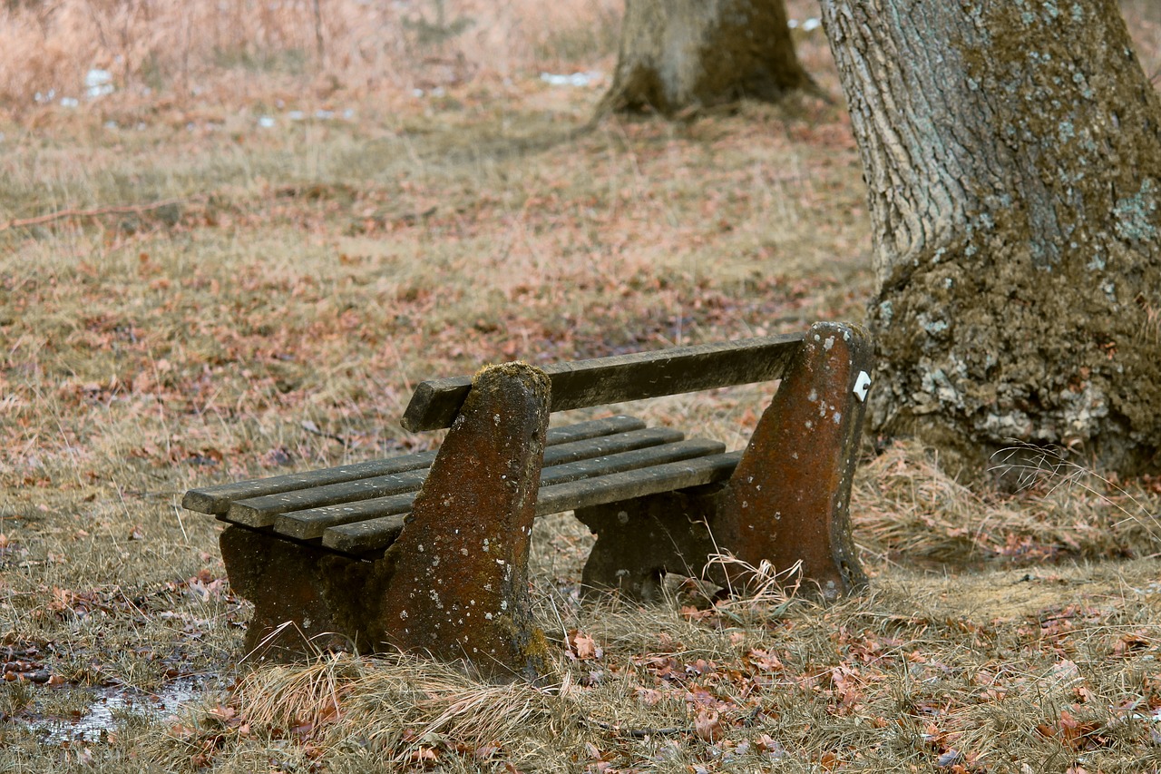 tranquility base  wooden bench  bank free photo