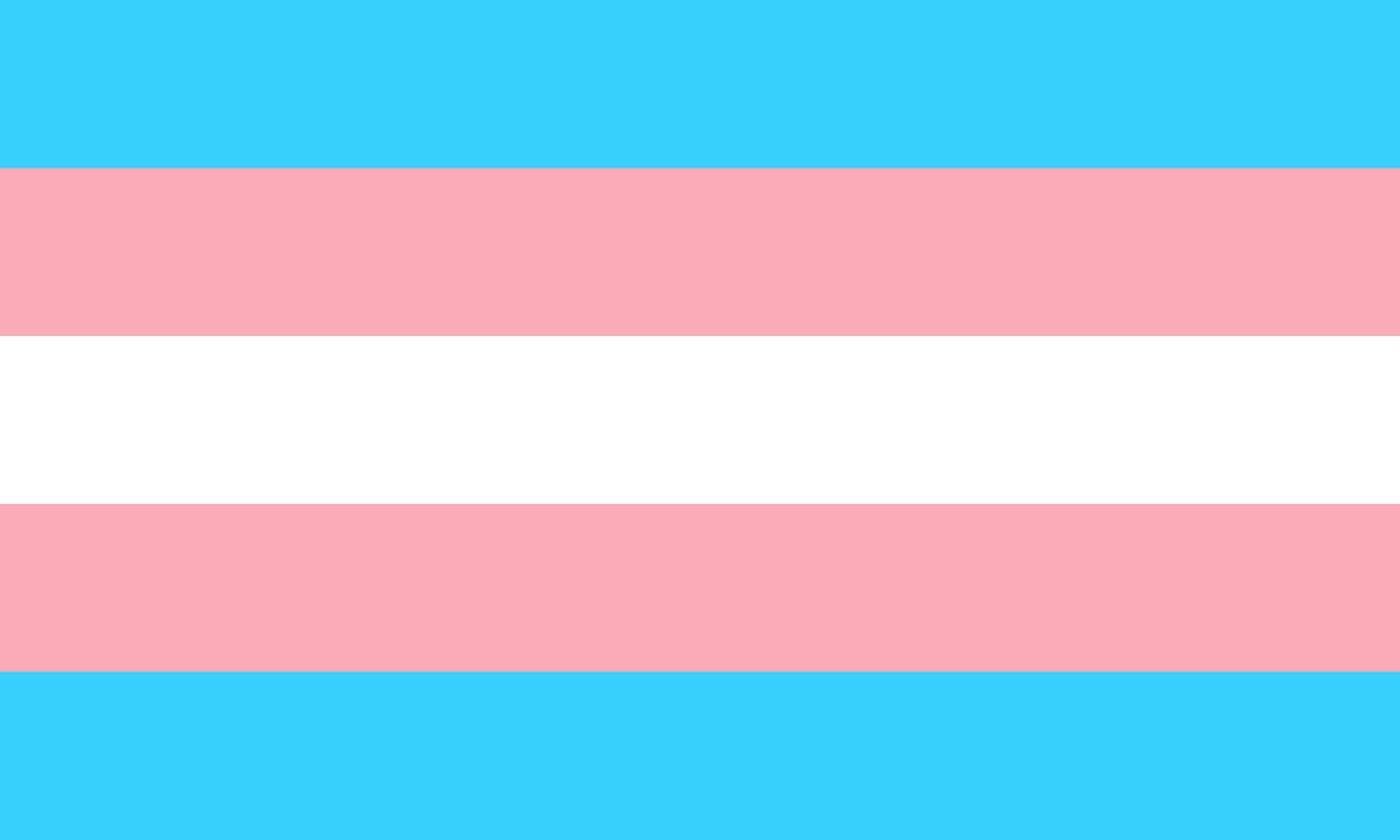 trans transgender flag free photo