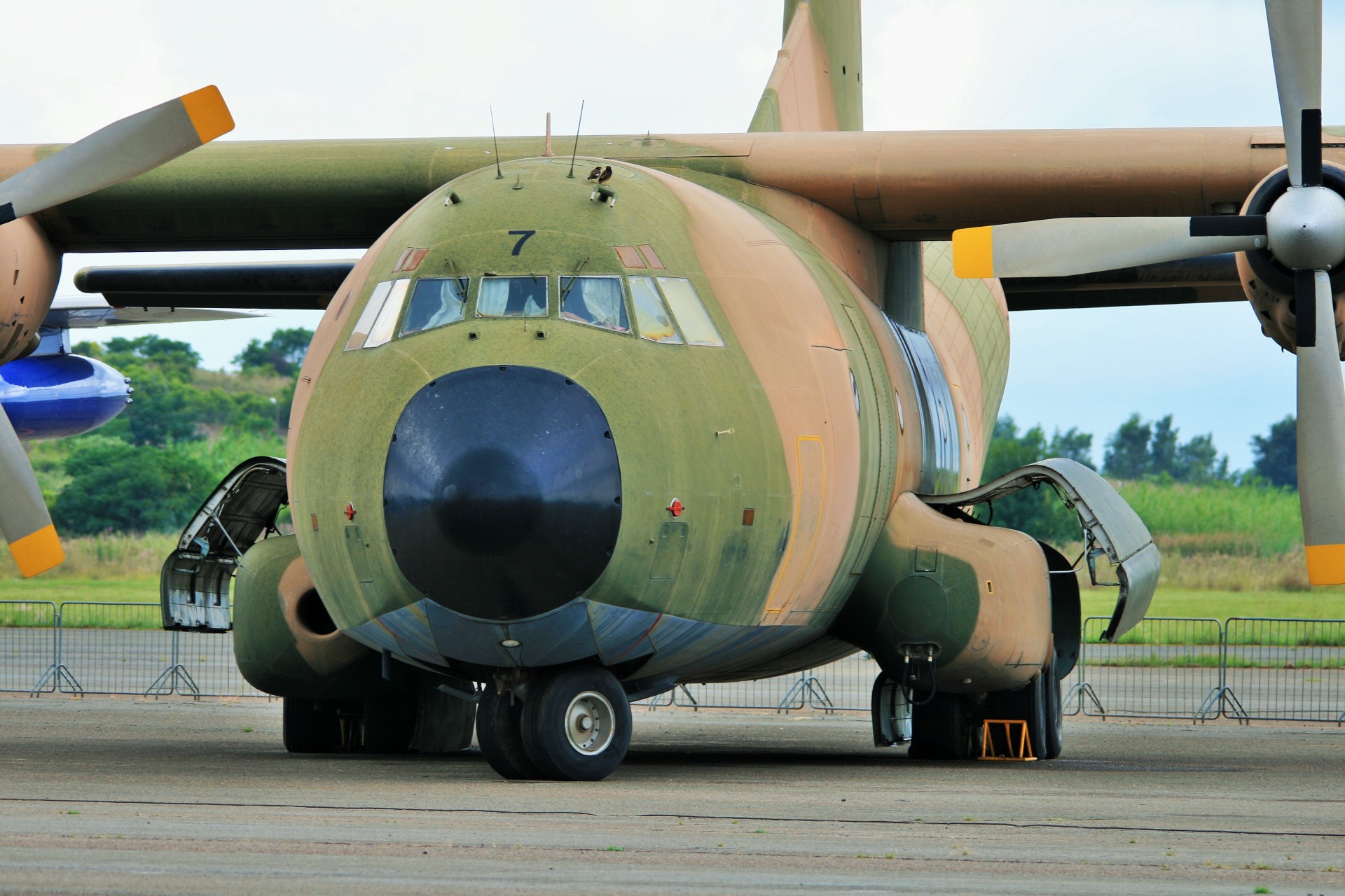 aircraft transall c-160 free photo