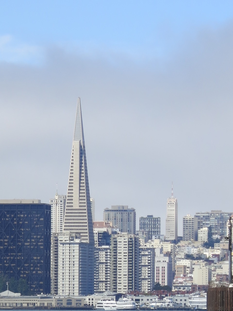 transamerica pyramid  san francisco  architecture free photo