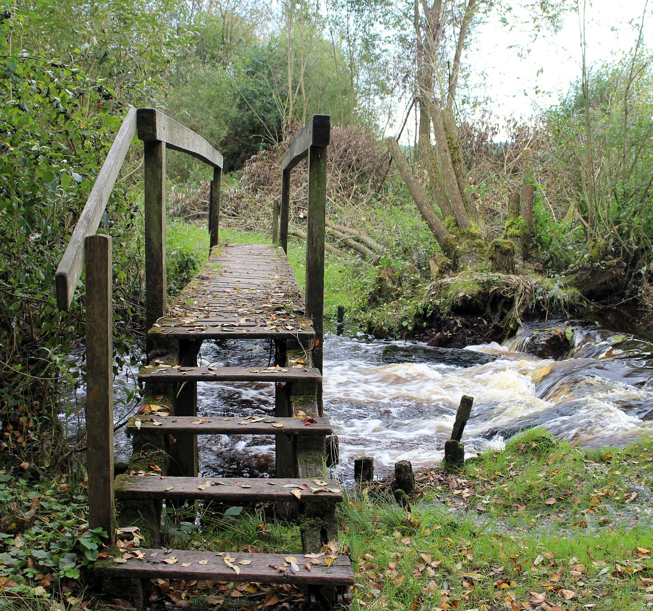 transition web bridge free photo