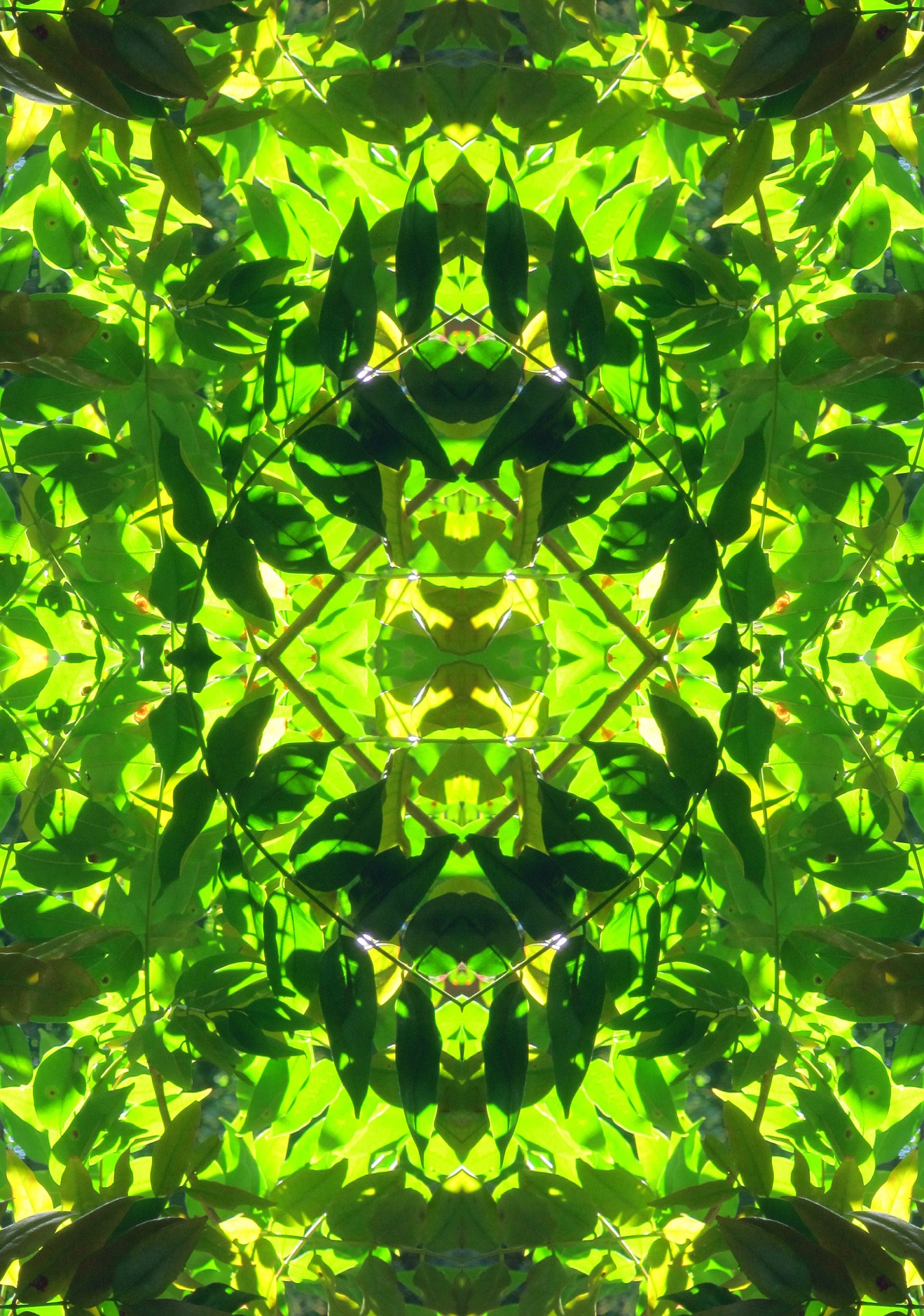 green pattern light free photo