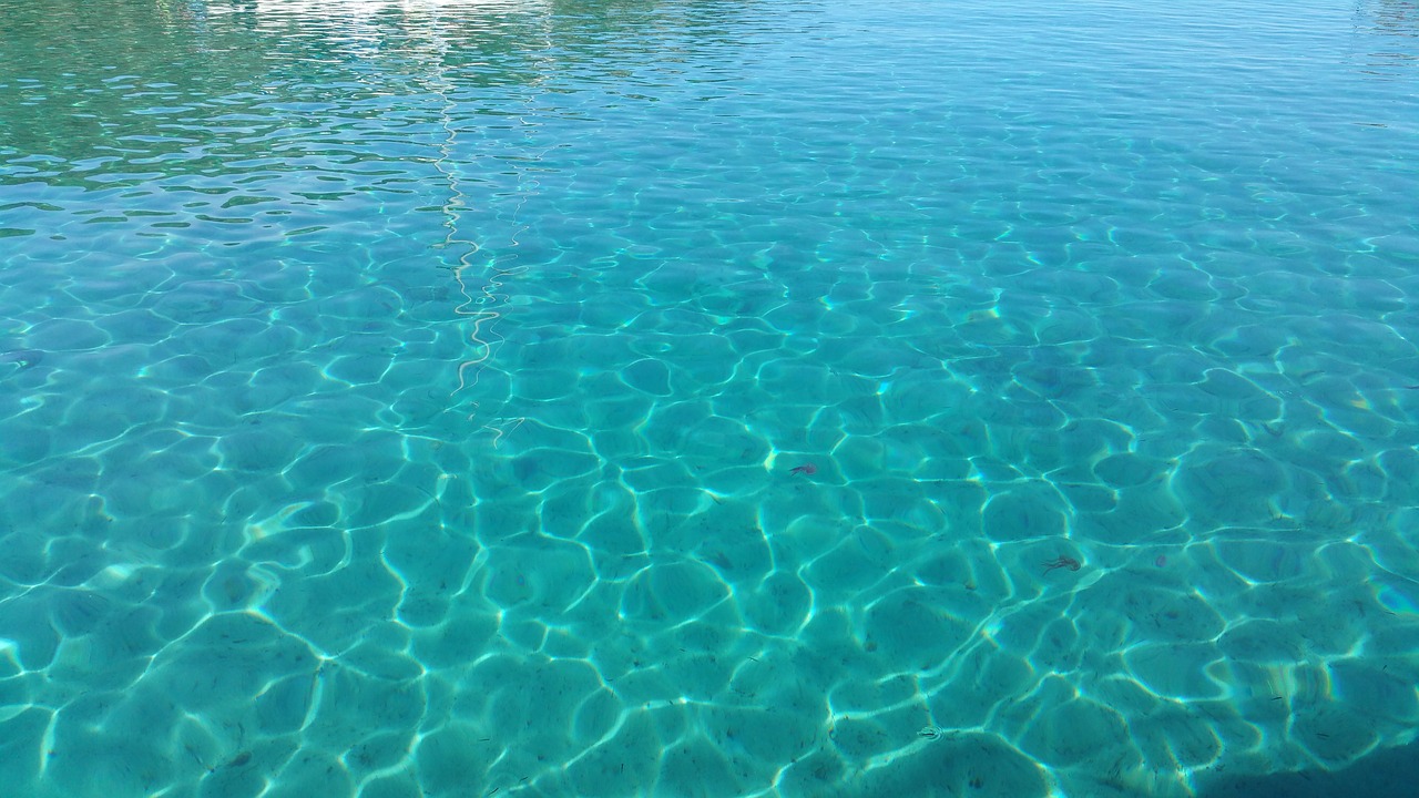 transparency sea tranquility free photo