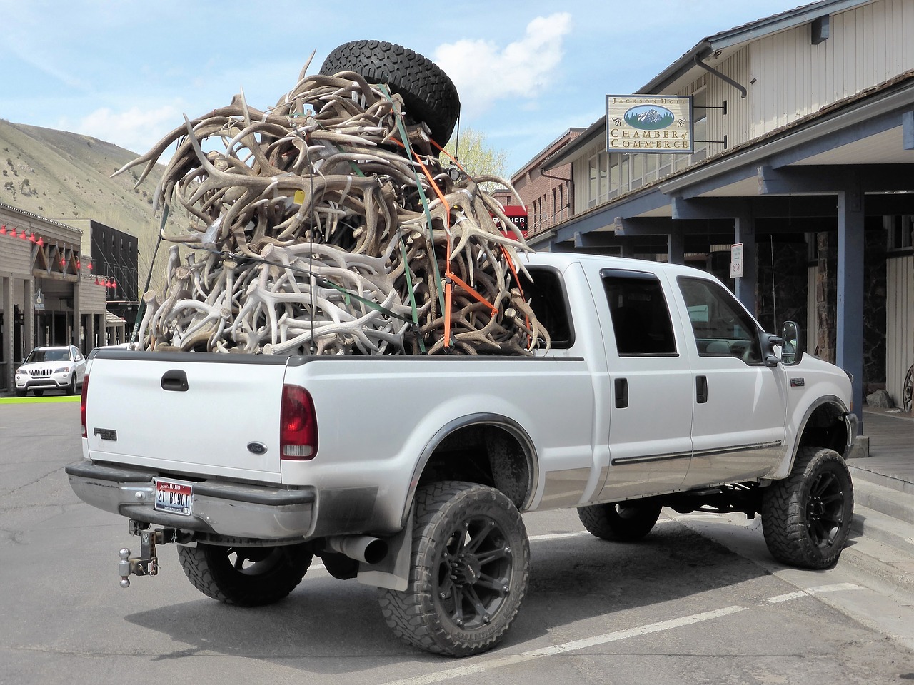 transport pickup antlers free photo