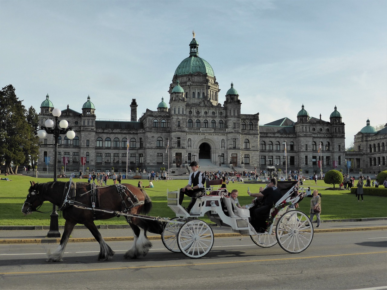 transport coach horse and carriage free photo