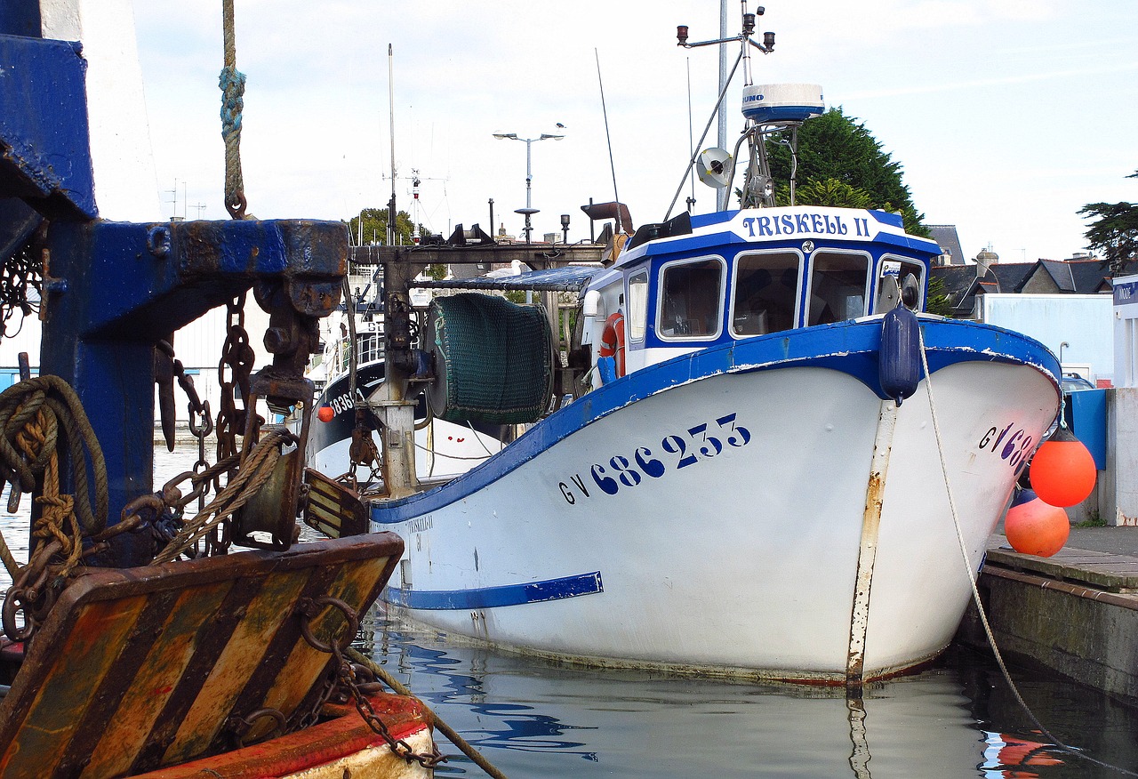 transport body of water boat free photo